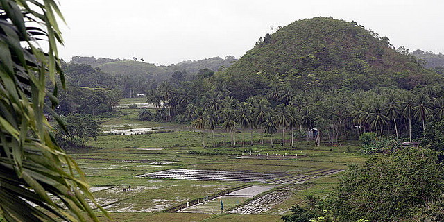 Chocolate Hills